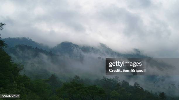 wow - honduras mountains stock pictures, royalty-free photos & images