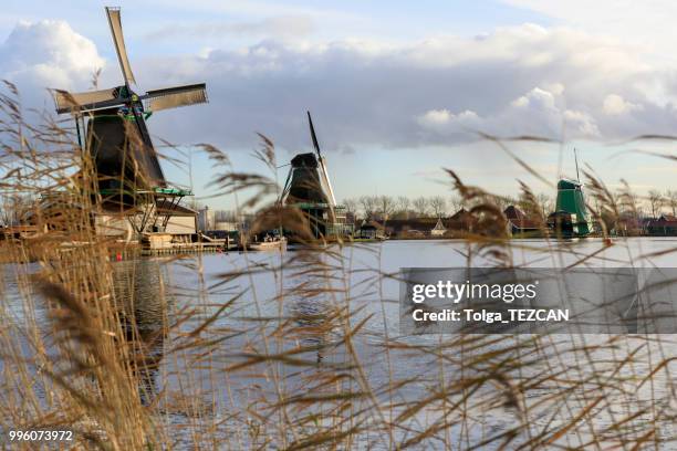 molino de viento en zaanse schans, países bajos - molinos de zaandam fotografías e imágenes de stock