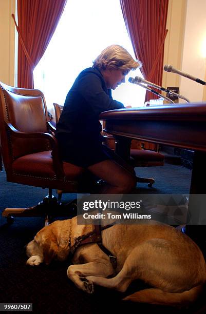 Moira Shea, who is seeing impaired, testifies at a hearing regarding H.R. 2792, Disabled Veterans Service Dogs and Health Care Improvement Act of...