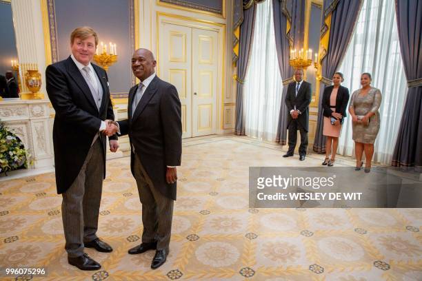 Dutch King Willem-Alexander shakes hands as he accepts the diplomatic credentials of the Ambassador of the Republic of Cape Verde to The Netherlands,...