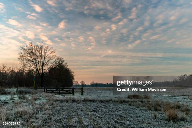 frosty land - william mevissen fotografías e imágenes de stock