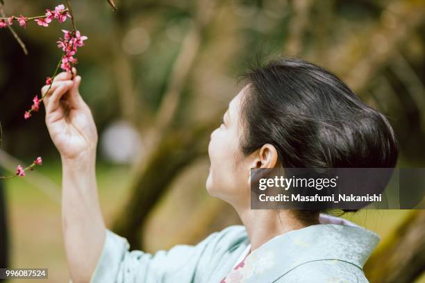 asia mujer vestida con un kimono viendo flores de ciruela en el parque - masafumi nakanishi fotografías e imágenes de stock