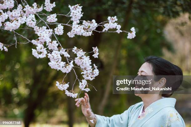 asia mujer vestida con un kimono mirando las flores de cerezo - masafumi nakanishi fotografías e imágenes de stock