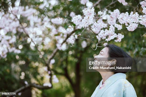 asian woman wearing a kimono looking at the cherry blossoms - masafumi nakanishi imagens e fotografias de stock