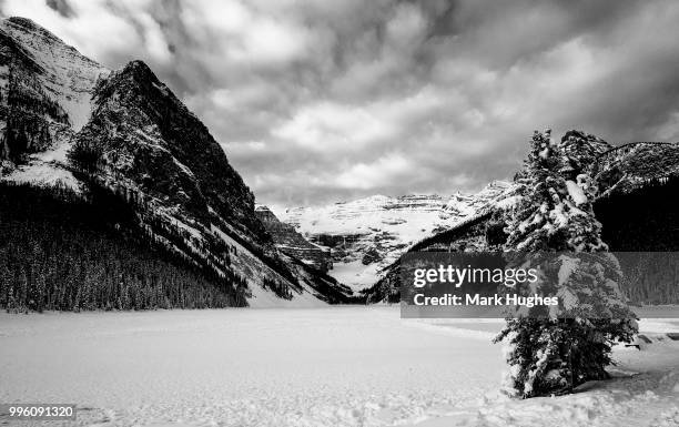 winter at lake louise - lake louise 個照片及圖片檔