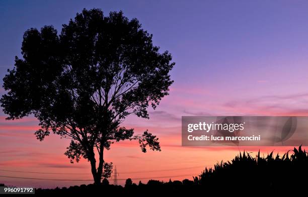 tramonto - tramonto stock pictures, royalty-free photos & images