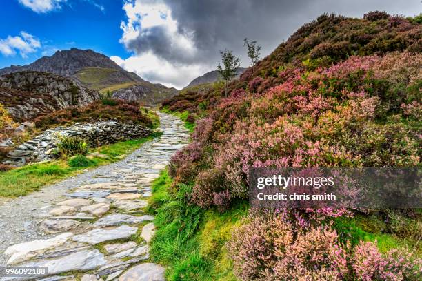 snowdonia national park - dale smith stock pictures, royalty-free photos & images