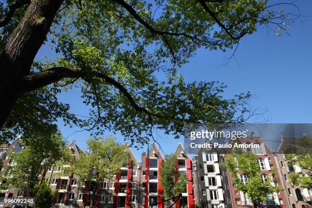 amsterdam city during summer - paulo amorim stock pictures, royalty-free photos & images