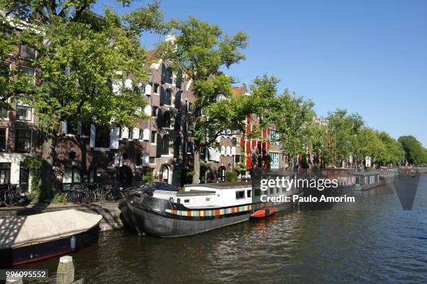 amsterdam city during summer - paulo amorim stock pictures, royalty-free photos & images