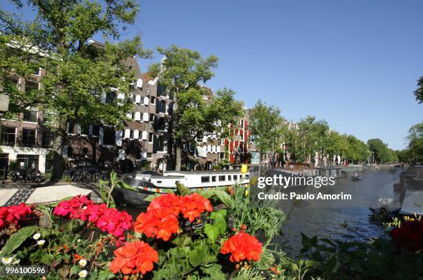 amsterdam city during summer - paulo amorim stock pictures, royalty-free photos & images