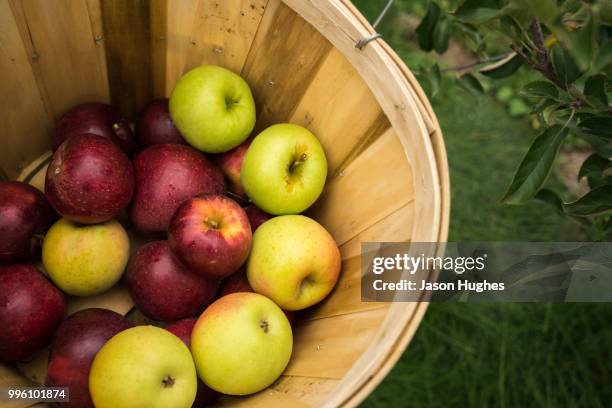 44 Apple Bushel Baskets Stock Photos, High-Res Pictures, and Images ...