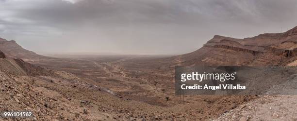 desert in the zagora region - zagora imagens e fotografias de stock
