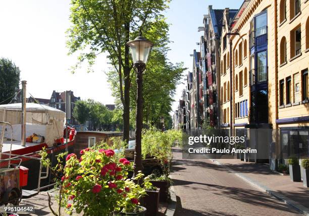 amsterdam city during summer - paulo amorim stock pictures, royalty-free photos & images