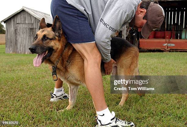 Capitol Police Dog, Fanto, is checked for swelling by his handler Techinician Shawn Haynes near their Waldorf, Md. Home. The 11 year old German...