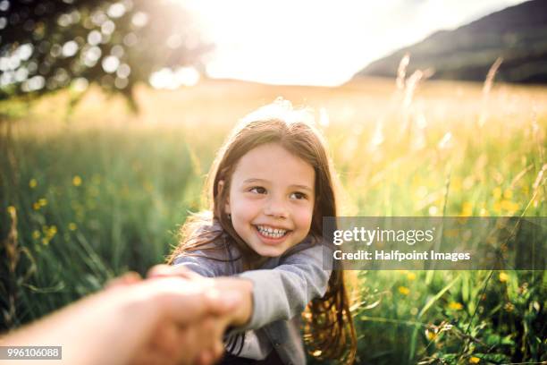 happy small girl holding onto an adults hand outside in spring nature. - halfpoint stock-fotos und bilder