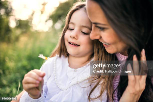 happy mother and her small daughter looking at flower outside in spring nature. - halfpoint stock-fotos und bilder