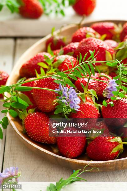 fresh strawberry - gavrilova stock-fotos und bilder