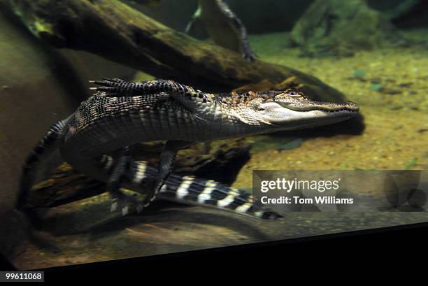 National Aquarium, News Photo