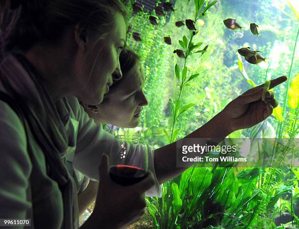 Erinn Roos, left in foreground, and Courtney MacGregor, both of Cultural Tourism DC, check out fish in the Rio Negro section of the National Aquarium...