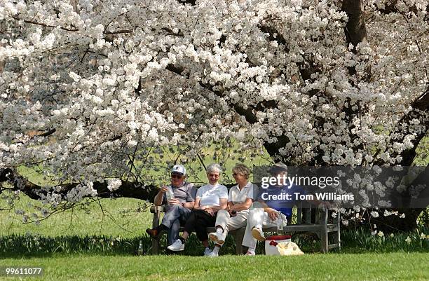From left, Jim and Barb McCune of West Virginia, and Jean and Joe Krivak of Bowie, Md., have lunch under the cherry blossoms at the National...