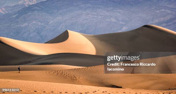 the death valley - mesquite flat dunes stock pictures, royalty-free photos & images