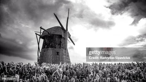 forgotten old windmill - corncob towers stock pictures, royalty-free photos & images