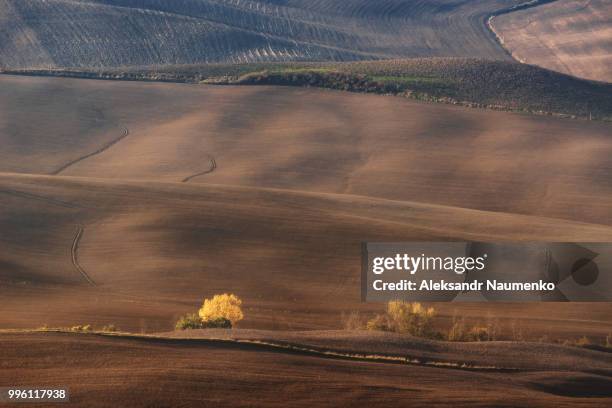 italiya. toskana. paul valley val d'orcia. - orcia valley foto e immagini stock