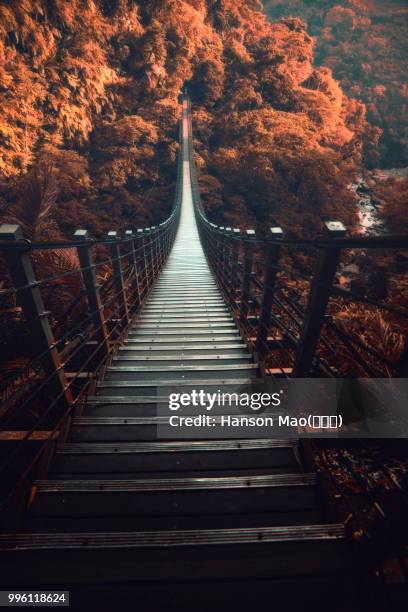 a swing bridge above an autumnal forest. - swing bridge stock pictures, royalty-free photos & images