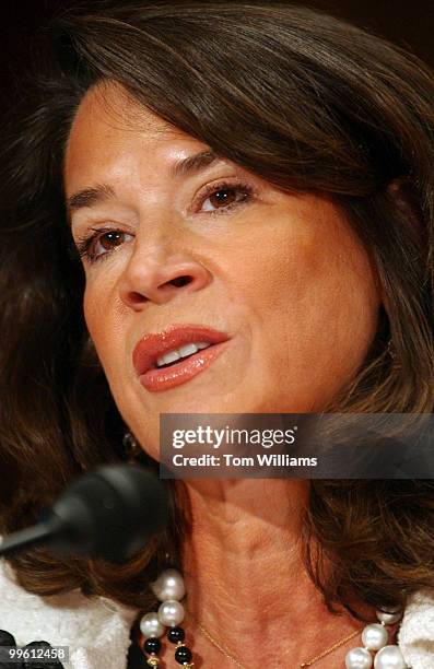 Rep. Katherine Harris, R-Fla., speaks at a hearing before the Senate Foreign Relations Committee on North American border security. Sen. John McCain,...