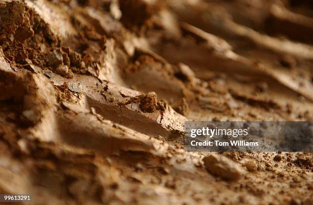 Dirt being un-earthed from the pit of the construction site of the Capitol Visitor Center, has been exposed for millions of years.