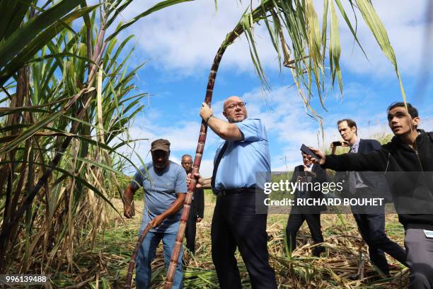 French Agriculture Minister Stephane Travert holds a sugarcane as he visits a sugar cane farm on July 11, 2018 in Sainte-Suzanne, east of the French...