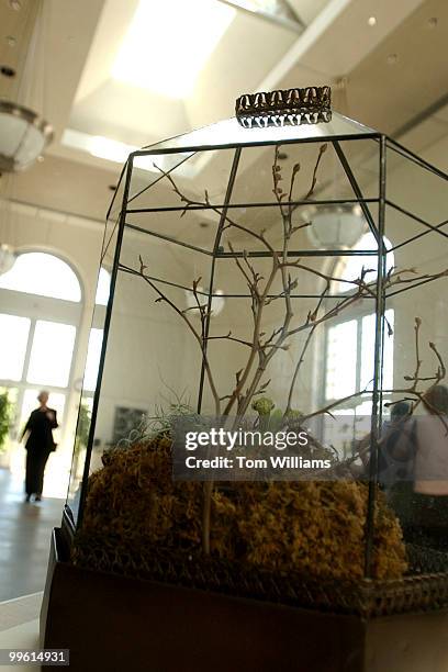 On display in the US Botanical Garden, are examples of plane life discovered by Admiral Charles Wilkes on his explorations from 1838-1842. Pictured...