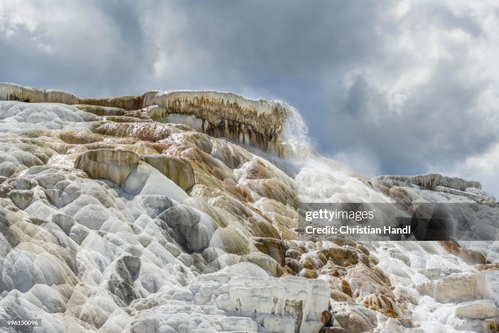 Sinter terraces of the Lower Terrace, Mammoth Hot Springs, Yellowstone National Park, Wyoming, United States