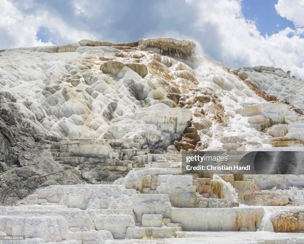Palette Spring sinter terrace of the Lower Terrace, Mammoth Hot Springs, Yellowstone National Park, Wyoming, United States