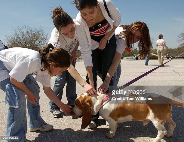 From left, Morgan Costello sister Amanda Kimberly Romano and thrid sister Christine Costello give some attention to Scooby Doo, a one year old...