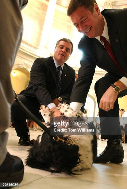 Sens. George Allen, R-Va., right, and Mark Pryor, D-Ark., play with Capitol Police Dog "Sammy", before a hearing on a bill requiring that engine...