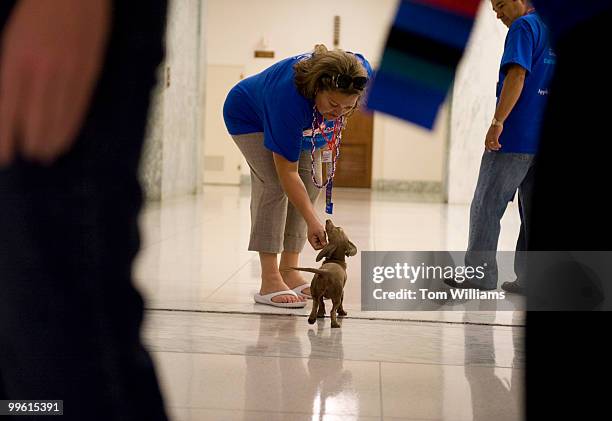 Loida Acevedo of Chicago, pets Cali, a miniature dachshund owned by Rebecca Rudman, communications director for Rep. Ken Calvert, R-Calif., in...