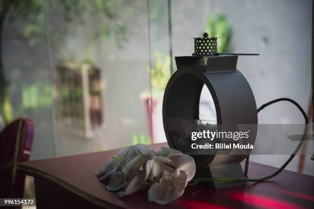 nature morte - morte stock pictures, royalty-free photos & images