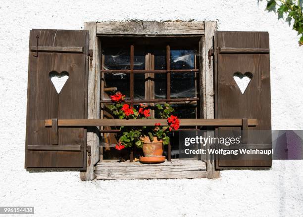 flowers window with geraniums, farmhouse, mondsee, salzkammergut, upper austria, austria - vocklabruck stock pictures, royalty-free photos & images