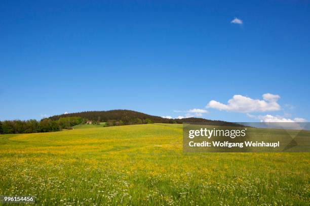 agricultural landscape with a flower meadow, mondsee region, upper austria, austria - vocklabruck stock pictures, royalty-free photos & images