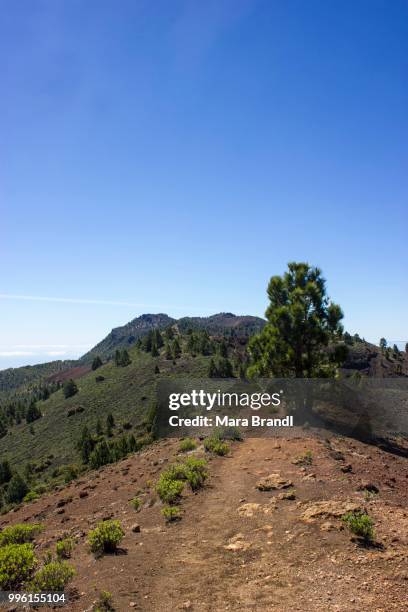 on the --ruta de los volcanes-- trail, volcano route, cumbre vieja natural park, la palma, canary islands, spain - ruta stock pictures, royalty-free photos & images