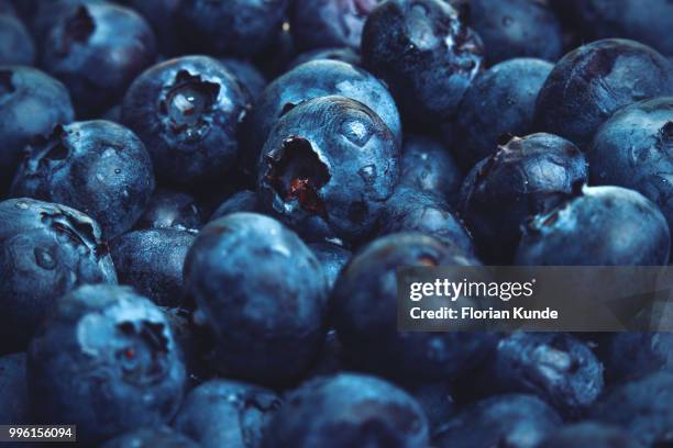 blueberry overload - kunde stock pictures, royalty-free photos & images