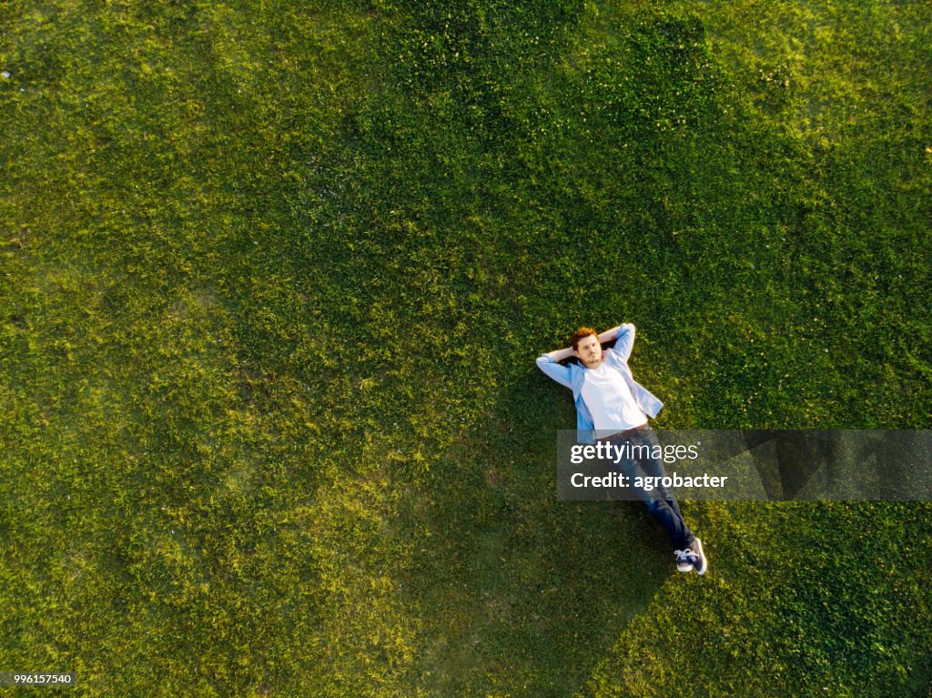 Relaxed young man sleeping on grass