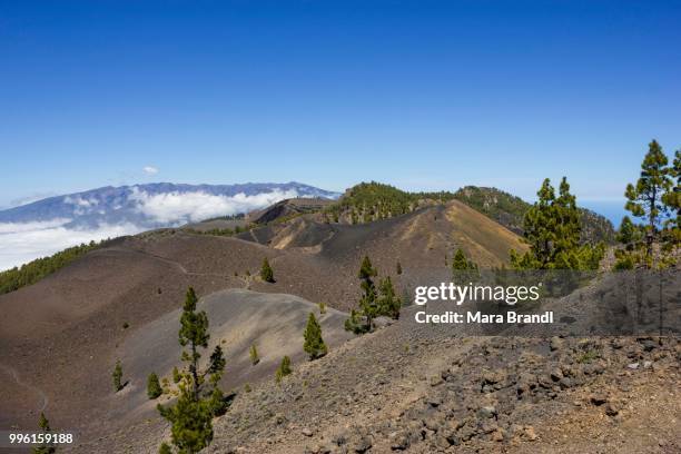 views of volcanoes, volcanic landscape, caldera de taburiente at the back, --ruta de los volcanes-- trail, volcano route, cumbre vieja natural park, la palma, canary islands, spain - ruta stock pictures, royalty-free photos & images