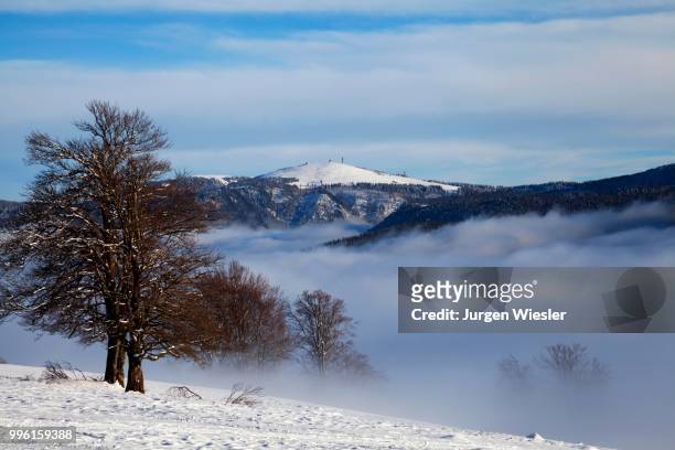 winter landscape on the feldberg mountain, atmospheric inversion, black forest, baden-wuerttemberg, germany - inversion_(meteorology) stock-fotos und bilder