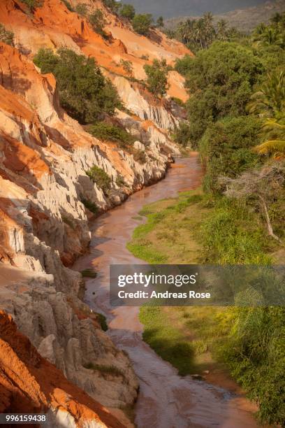 red sandstone formations of the canyon on fairy stream, mui ne, vietnam - red canyon bildbanksfoton och bilder