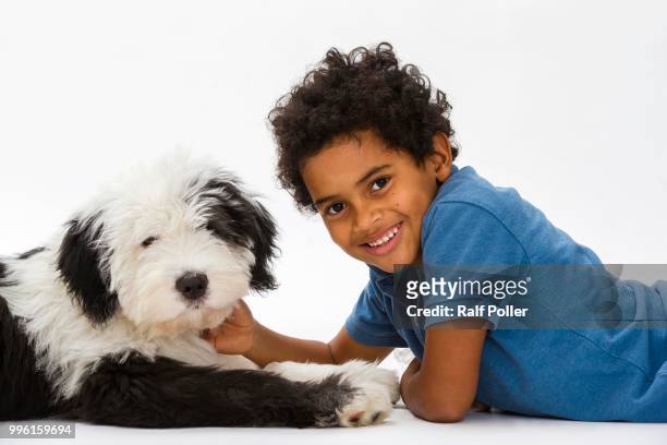 boy, 8 years, cuddling with an old english sheepdog puppy, 4 months - 6 7 years stock-fotos und bilder