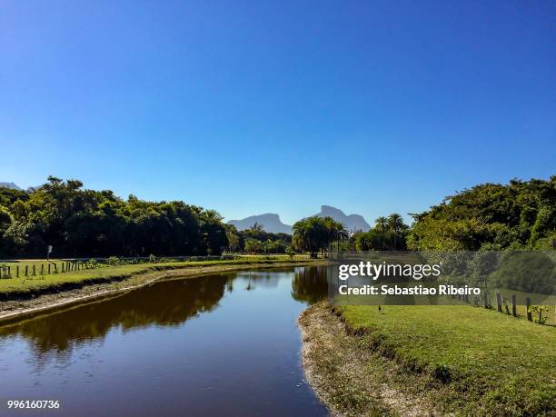 bosque da barra ii - bosque stock pictures, royalty-free photos & images