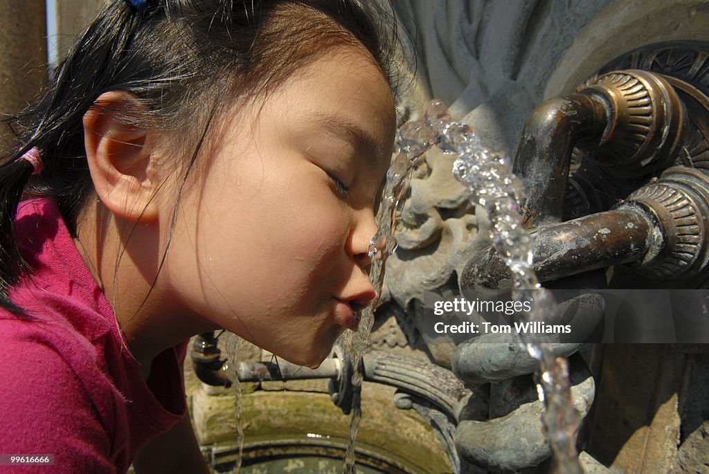 Water Fountain