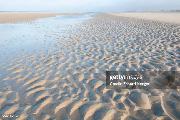 north sea beach with water running off at falling tide, langeoog, east frisia, lower saxony, germany - langeoog fotografías e imágenes de stock